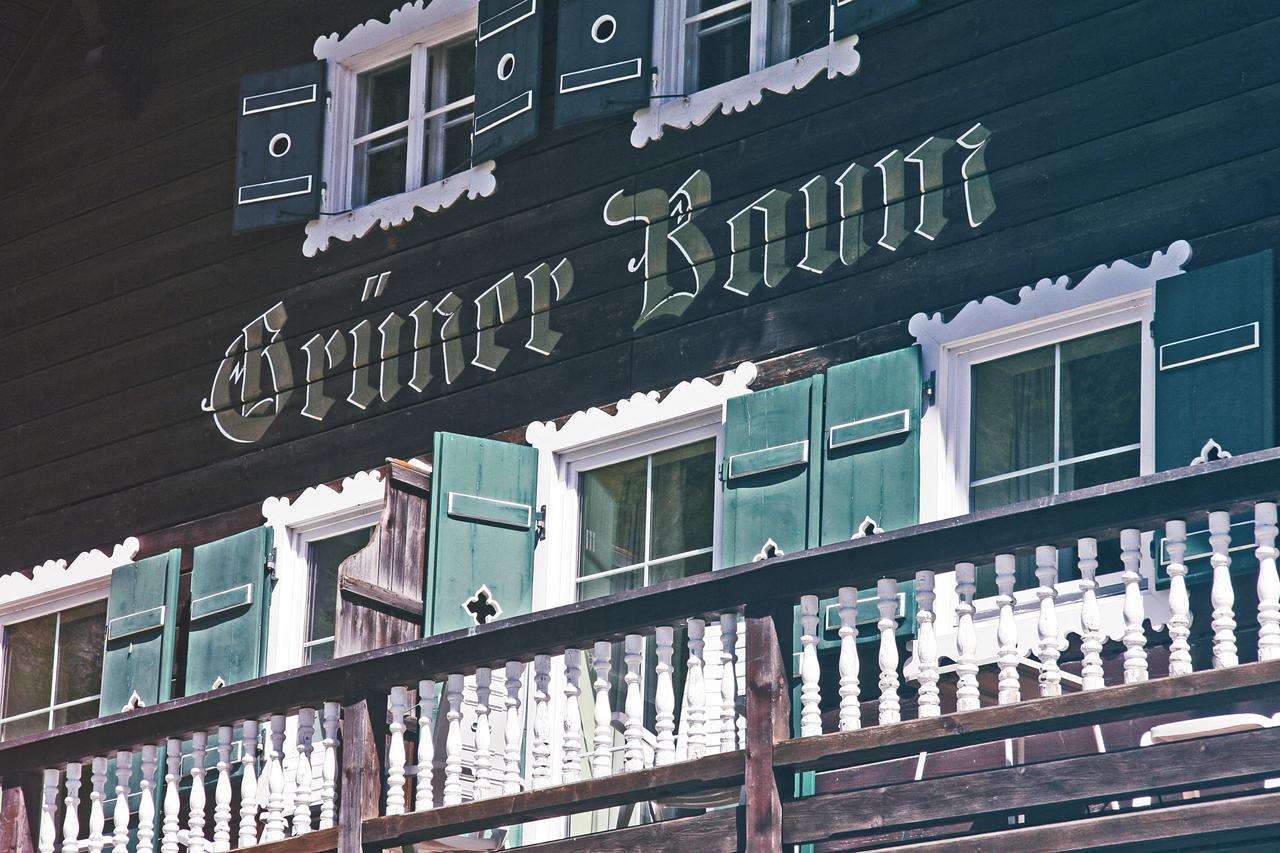Gruener Baum Hotel باد جاستاين المظهر الخارجي الصورة